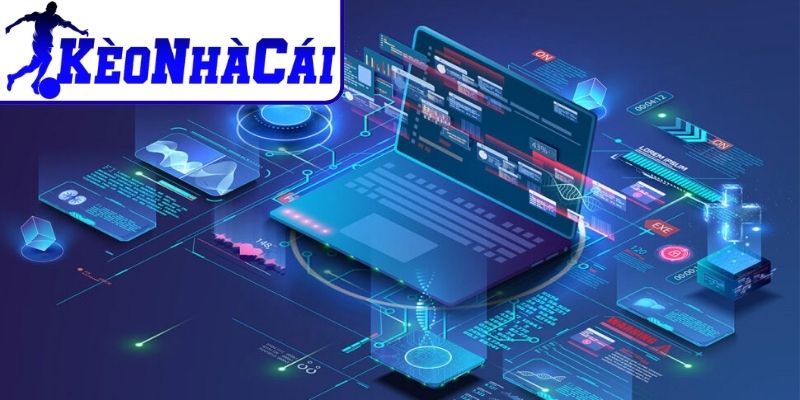 Phạm vi áp dụng chính sách điều khoản